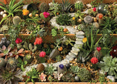 Succulent Garden 1000pc Puzzle - Starbase 505